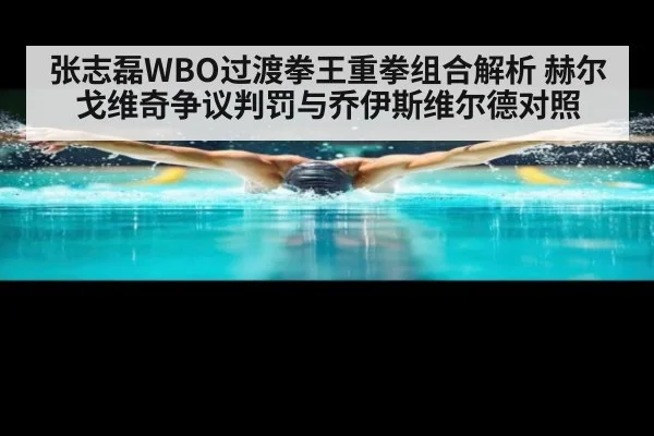 张志磊WBO过渡拳王重拳组合解析 赫尔戈维奇争议判罚与乔伊斯维尔德对照